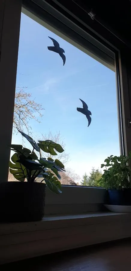 Frisch Renoviert, Terrasse Mit Blick Ins Grune - Into The Green Eg 노이슈타트안데르아이쉬 0*,